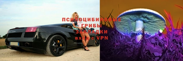 индика Белоозёрский