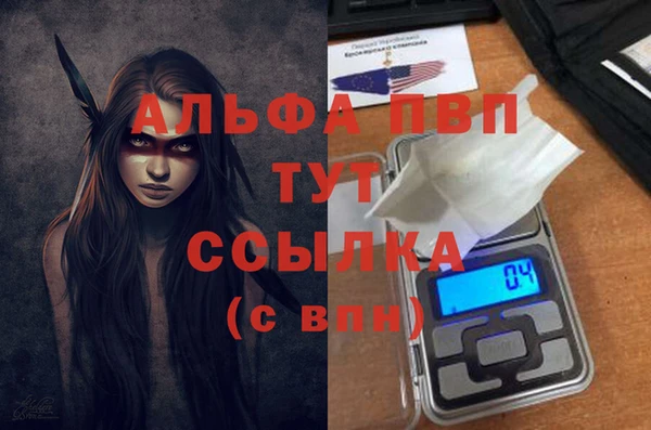 индика Белоозёрский
