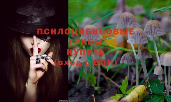 индика Белоозёрский