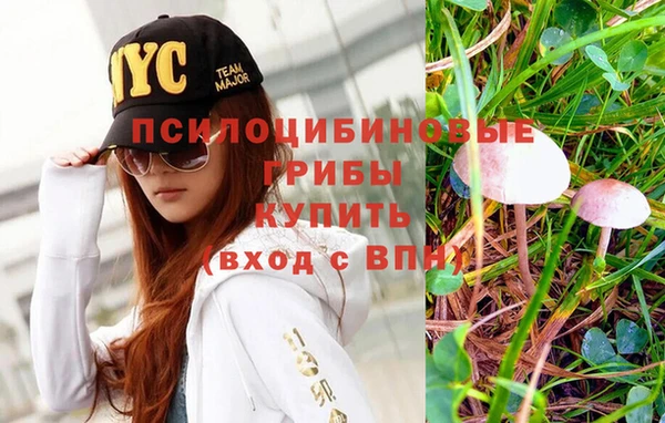 индика Белоозёрский